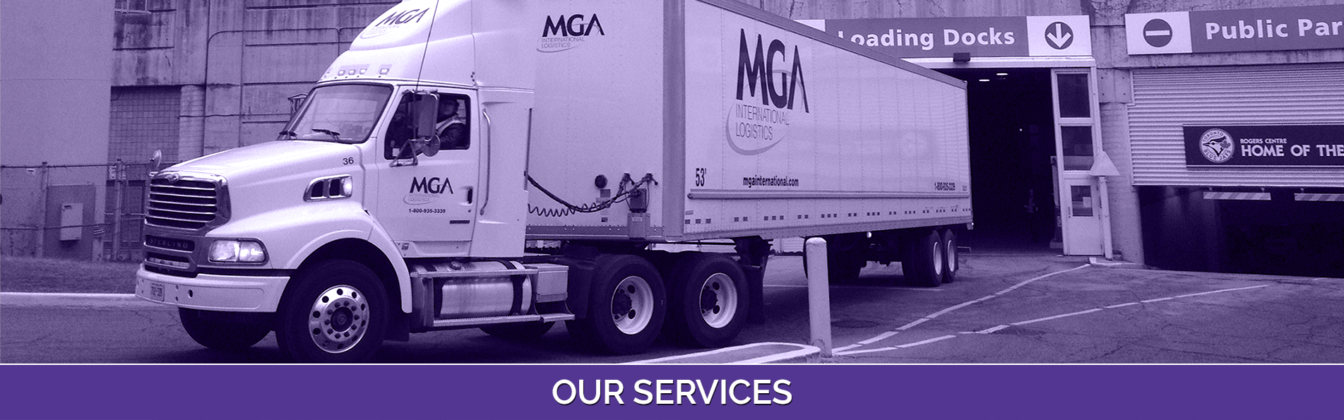 Our Services